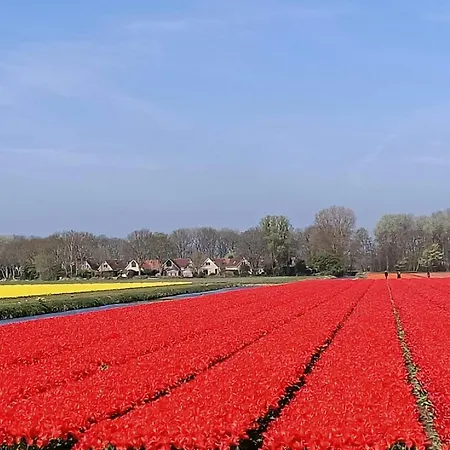 Alk 8-1 By Interhome Noordwijkerhout