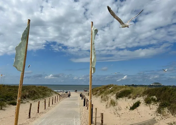 Alk 8-1 By Interhome Πάρκο διακοπών Noordwijkerhout